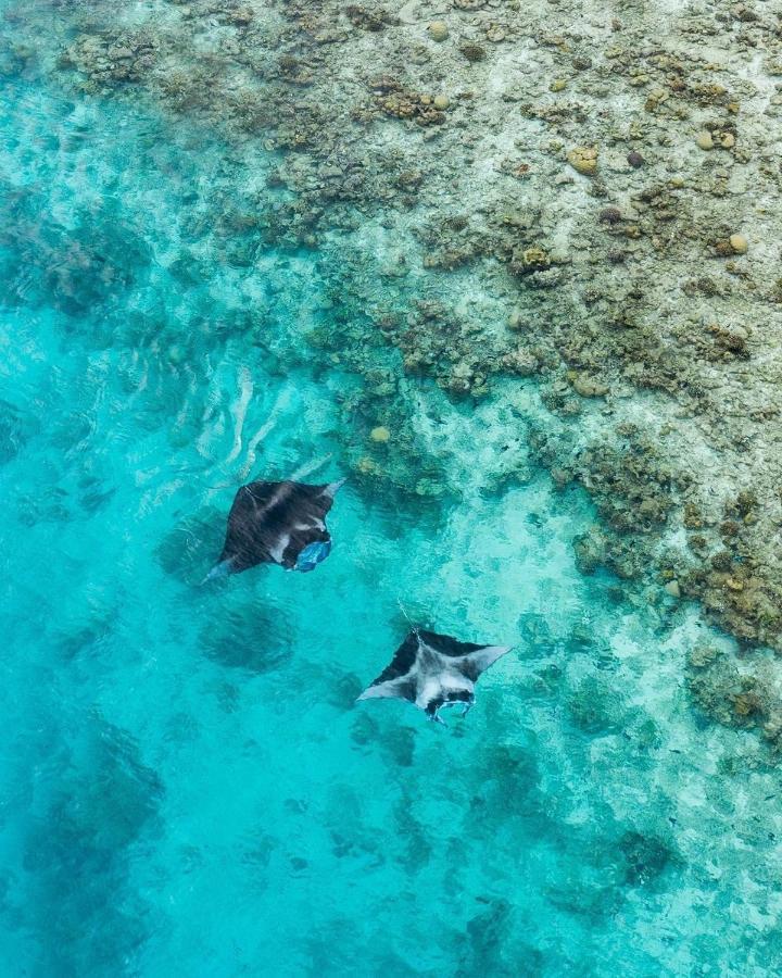 ホテル Iru Maldives スルスドゥー エクステリア 写真